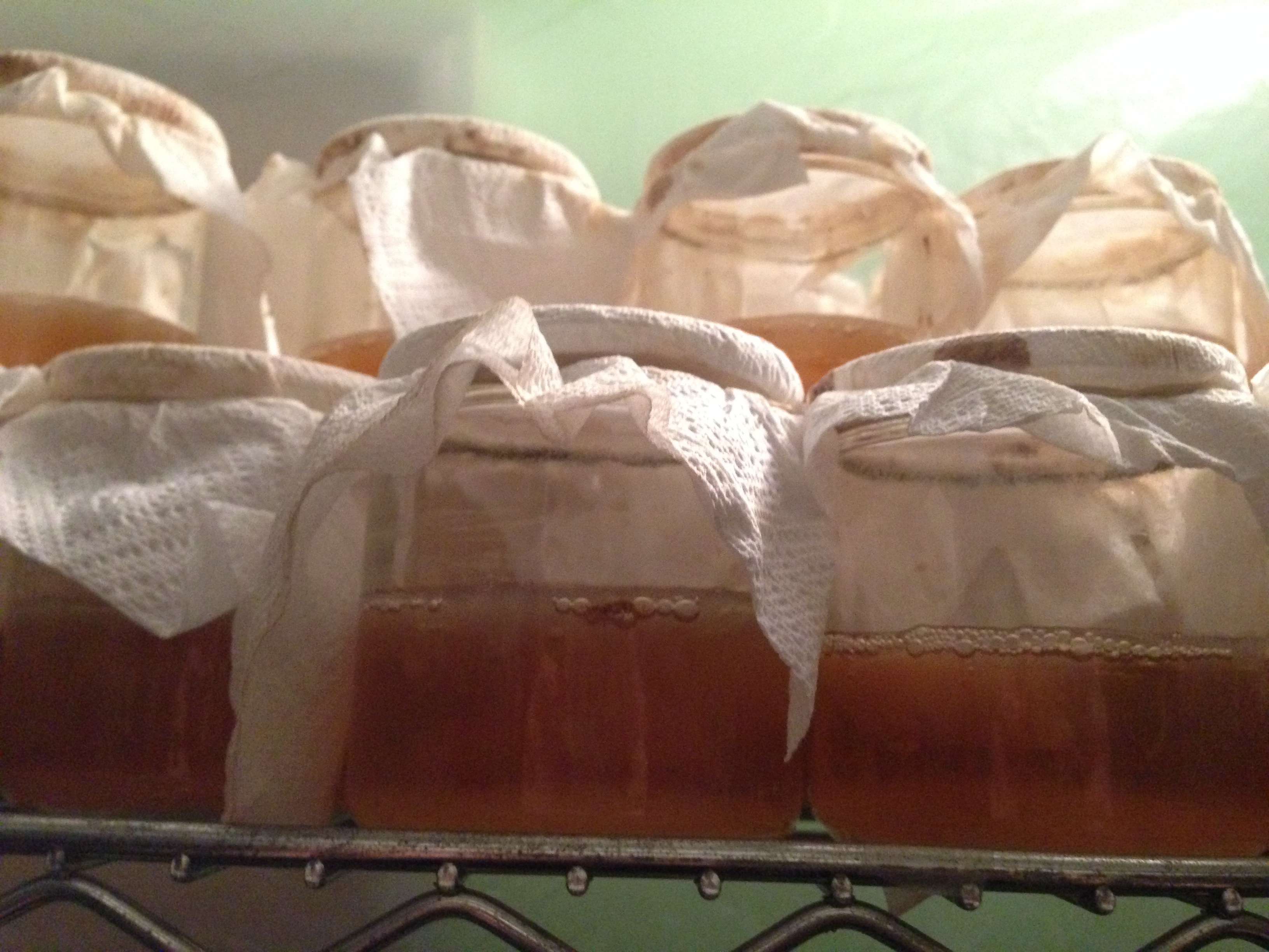 It’s alive! Jars of kombucha are brewing in this Brooklyn office.